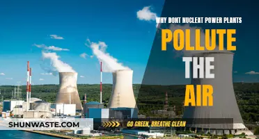 Nuclear Power Plants: Clean Air, No Pollution