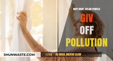 Solar Panels: Clean Energy Without Pollution – Here's Why