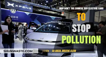 China's Electric Car Hesitance: Pollution, Preferences, and Policy Gaps