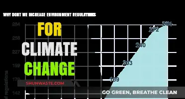 Strengthening Environmental Regulations: A Crucial Step to Combat Climate Change
