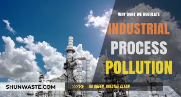 Unchecked Industrial Pollution: Why Regulation Remains a Distant Reality