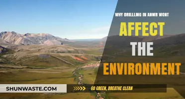 Drilling in ANWR: Minimal Environmental Impact, Maximum Energy Potential