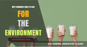 Milk's Environmental Impact: How Dairy Harms Our Planet and Ecosystems