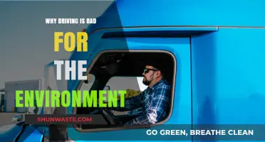 Driving's Environmental Impact: Pollution, Emissions, and Sustainable Alternatives