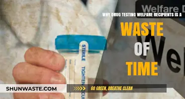 The Futility of Drug Testing Welfare Recipients: A Critical Analysis