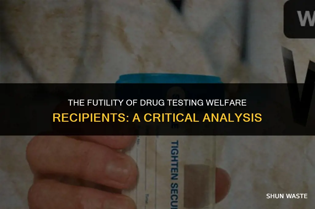 why drug testing welfare recipients is a waste of time