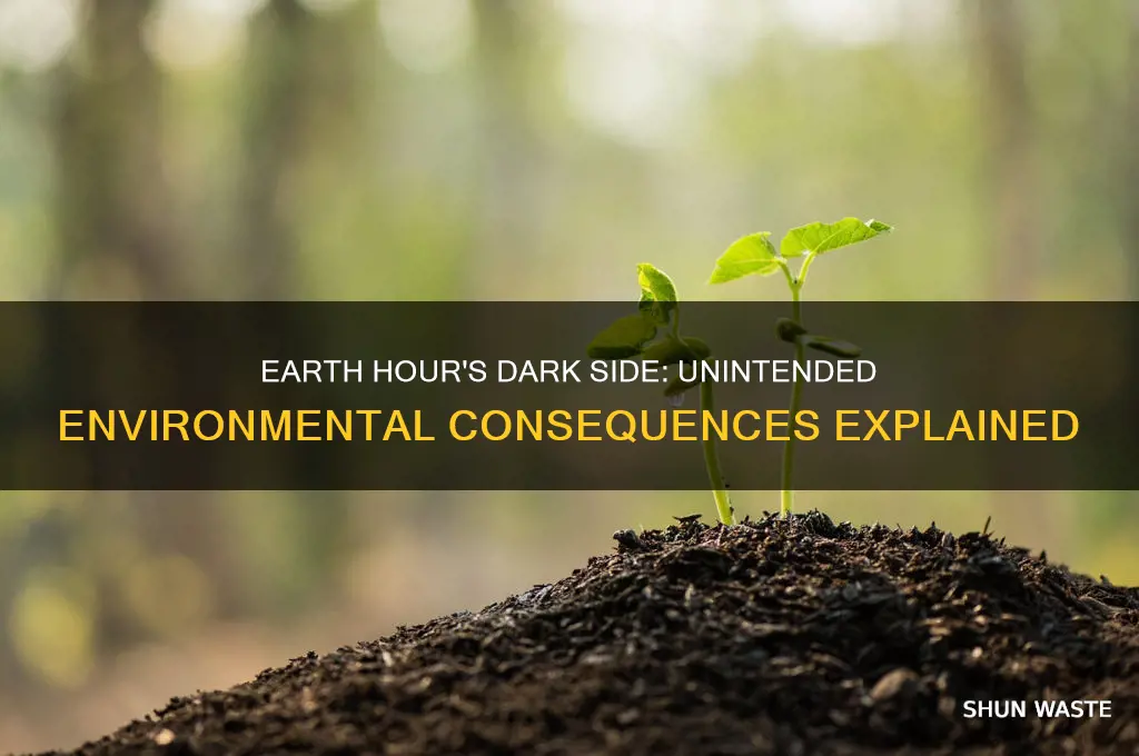 why earth hour is bad for the environment