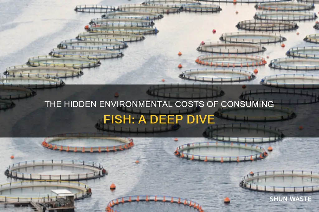 why eating fish is bad for the environment