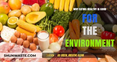 Sustainable Plates: How Healthy Eating Benefits Our Planet