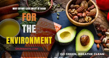 Reducing Meat Intake: A Sustainable Choice for Our Planet's Health