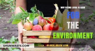 Eating Local: Sustainable Choices for a Healthier Planet and Community