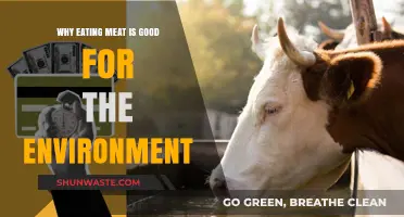 Sustainable Meat Consumption: How Livestock Benefits Our Planet's Health