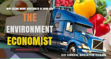 Eating More Vegetables: An Economist's Guide to Eco-Friendly Diets