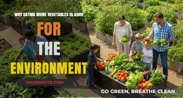 Eating More Vegetables: A Sustainable Choice for Our Planet