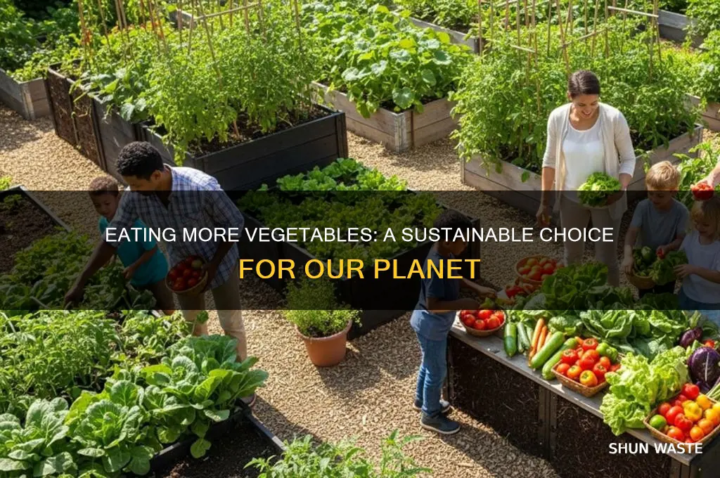 why eating more vegetables is good for the environment