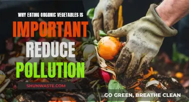 Organic Veggies: Reducing Pollution, Improving Health