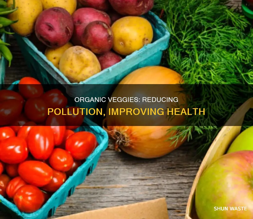 why eating organic vegetables is important reduce pollution