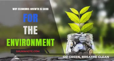 Economic Growth: A Surprising Ally for Environmental Sustainability and Progress