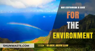 Ecotourism's Environmental Benefits: Sustainable Travel for a Greener Future