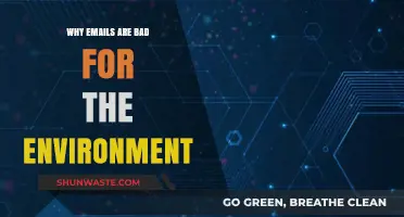 The Hidden Environmental Cost of Emails: A Sustainable Digital Dilemma