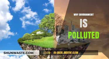 Unveiling the Root Causes of Environmental Pollution and Its Impact