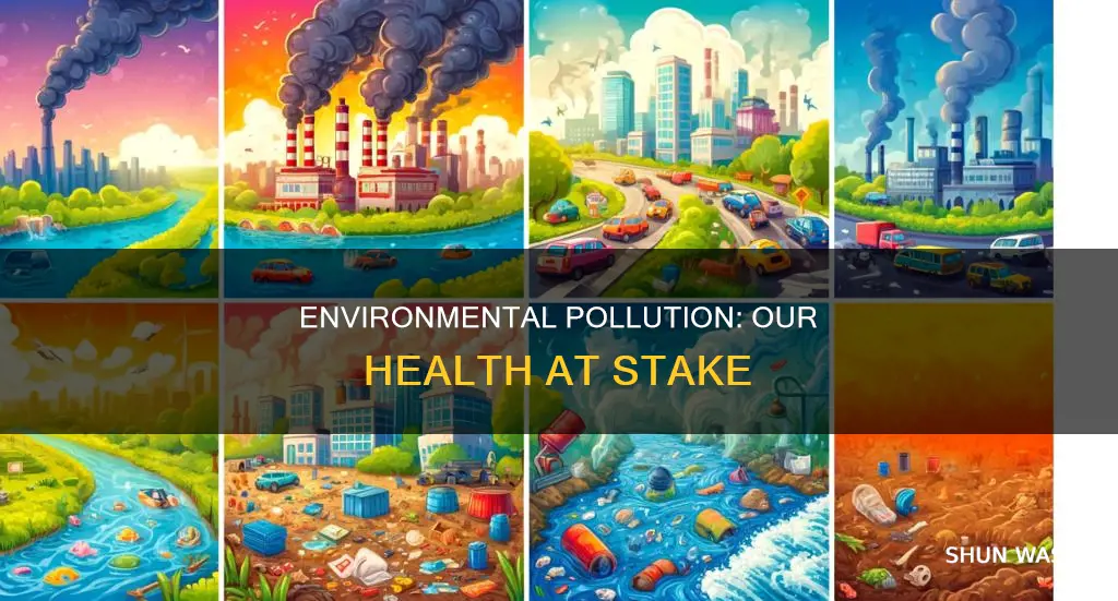 why environment pollution affect us