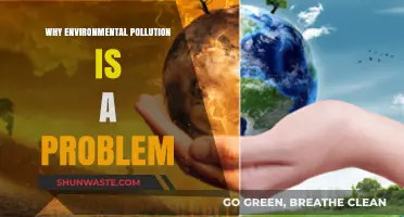Environmental Pollution: A Growing Crisis Threatening Our Planet's Future