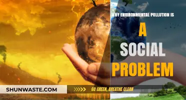 Environmental Pollution: A Social Crisis Affecting Communities and Future Generations