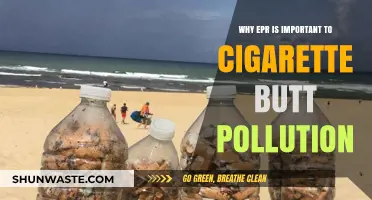 EPR Solutions: Tackling Cigarette Butt Pollution for a Cleaner Environment