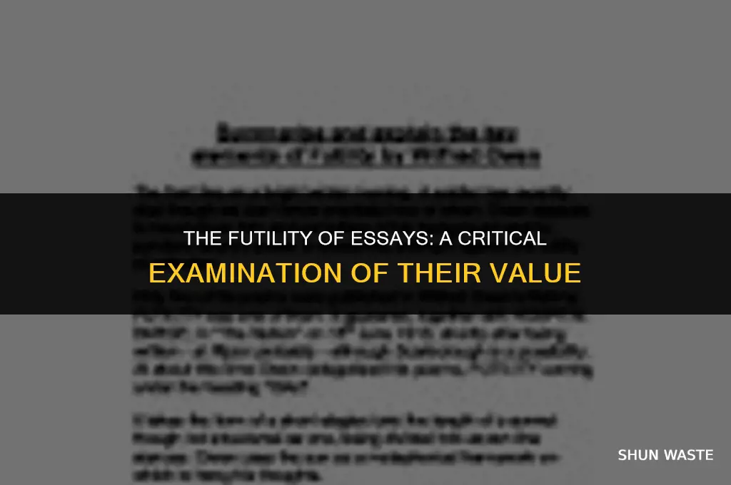 why essays are a waste of time