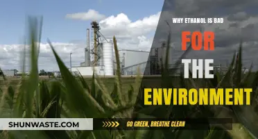 Ethanol's Environmental Impact: Uncovering Its Hidden Ecological Costs