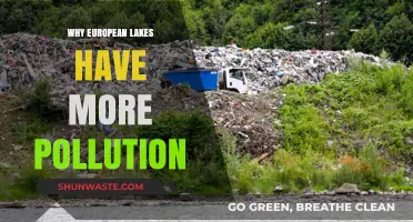 European Lakes: Uncovering the Rising Pollution Crisis and Causes