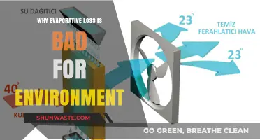 Evaporative Loss: Environmental Impact and Sustainable Solutions Explained