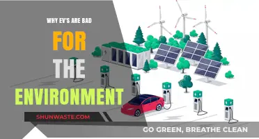 The Hidden Environmental Costs of Electric Vehicles: A Critical Analysis