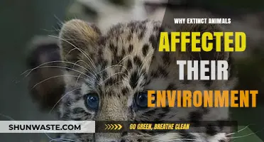 Extinct Animals' Impact: How Their Loss Shaped Ecosystems and Environments