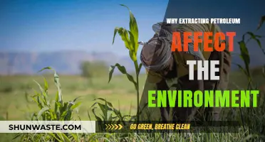 Extracting Petroleum: Environmental Impacts and Long-Term Consequences Explained