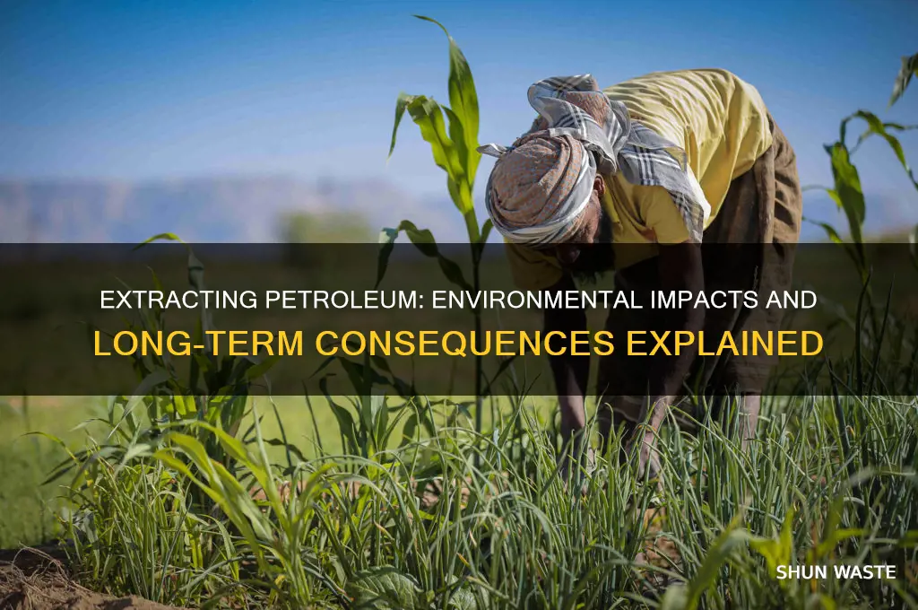 why extracting petroleum affect the environment