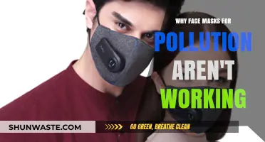 Pollution Masks Failing: Unmasking the Ineffectiveness of Air Protection