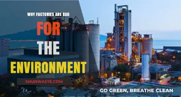 Factories' Environmental Impact: Pollution, Waste, and Ecosystem Destruction Explained