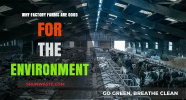 Sustainable Agriculture: How Factory Farms Benefit Our Environment