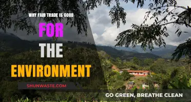 Fair Trade's Eco-Impact: Sustainable Practices for a Greener Planet
