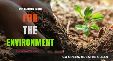 Farming's Environmental Impact: Uncovering the Hidden Costs of Agriculture