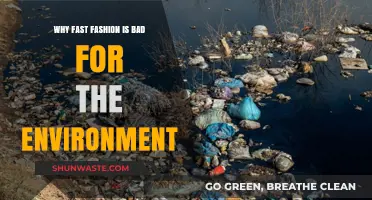 Fast Fashion's Environmental Impact: Unraveling the Hidden Costs of Cheap Trends