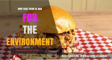 Fast Food's Hidden Cost: Environmental Impact and Unsustainable Practices