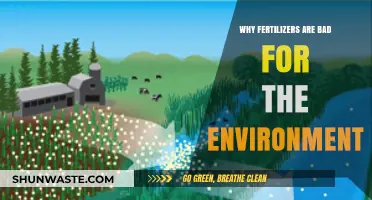 Environmental Impact of Fertilizers: Harmful Effects on Ecosystems and Soil
