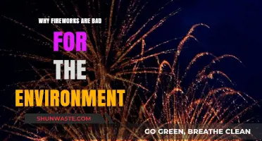 Fireworks' Environmental Impact: Pollution, Wildlife Harm, and Ecosystem Disruption Explained