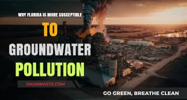 Florida's Unique Geology: Why Groundwater Pollution Poses a Greater Threat