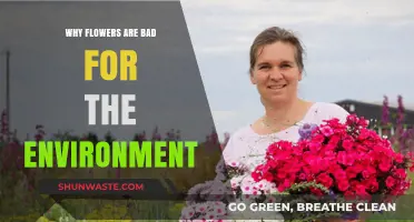 The Hidden Environmental Costs of Cut Flowers and Their Impact
