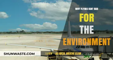 Flying's Environmental Impact: Debunking Myths and Highlighting Sustainable Practices
