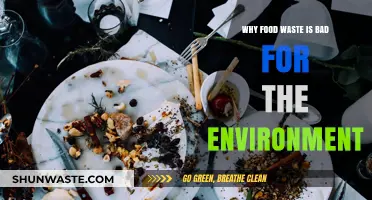 Food Waste's Environmental Impact: A Growing Crisis We Must Address